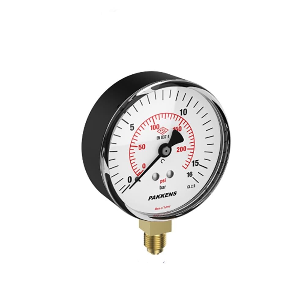 Pakkens 100 mm Alttan Bağlantılı Manometre